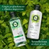 Shampoo Herbal Essences Detox Té verde & menta 400 ml