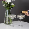 Outset Double Wall Glasses, Coupe Champagne Glasses, Set of 2,