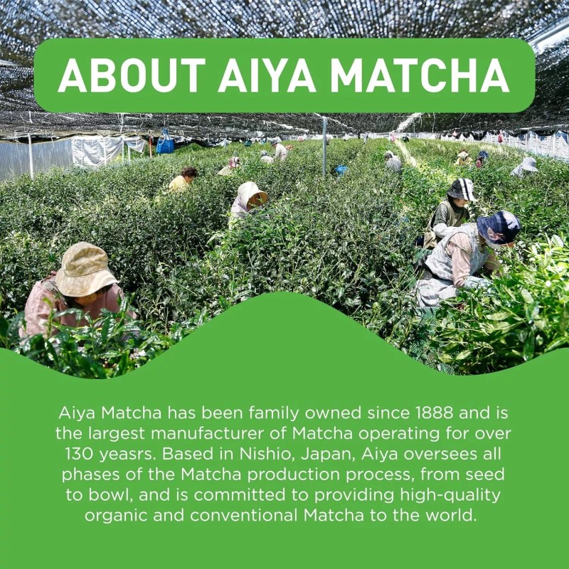 Aiya Certified USDA Organic Culinary Grade Matcha Green Tea Powder