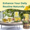 Hanan Piñalax 30 Teabags - for Digestive Support & Diet