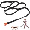 UpWallYoga Heavy Duty Hands-Free Service Dog Leash - 10ft Double-Layered