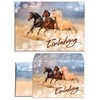 16 Invitation Cards Children's Birthday Party Three Horses Girls Invitations