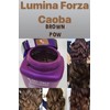 Tec Italy Revitalizant Color Intesifying Treatment For Hair forza Caoba