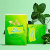 PLUS MENTHOL Menthol Lotion Pocket Tissues, Travel Size 4-Ply Thick