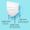 Phils Co., Ltd. K2 Dental Mask Domestic Cute Summer 2000