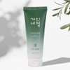 Gain's Secret (1+1) Gainbichaek Cheong Eoseongcho Cleansing Foam 150ml /