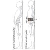 Abdomen and Back Support Belt Size 3 (Waist 110 -