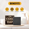Pelto Lump Of Coal Activated Charcoal Soap - 2025 Stocking