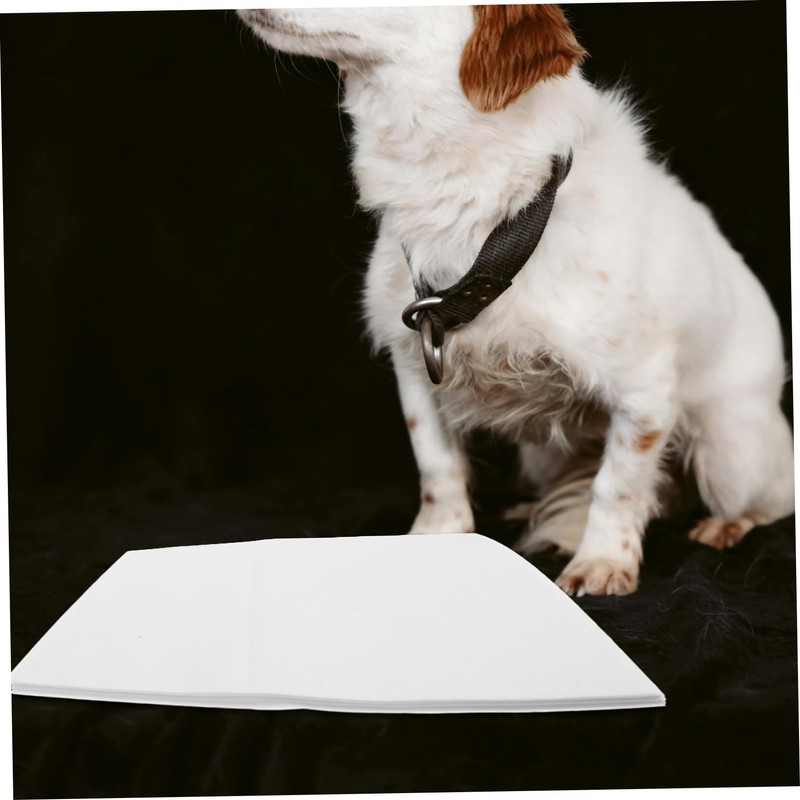 CIYODO 50Pcs Disposable Dog Urine Pads Quick Absorbent Pee Sheets
