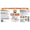 Club Moss (Lycopodium clavatum) Liquid Extract 2 oz