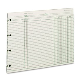 Wilson Jones Ledger Paper, Balance Ledger, 9-1/4" x 11-7/8", Green, 100 Sheets (GN2D)