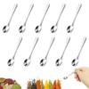 Pack of 10 Small Stainless Steel Spoons for Spice Jars,