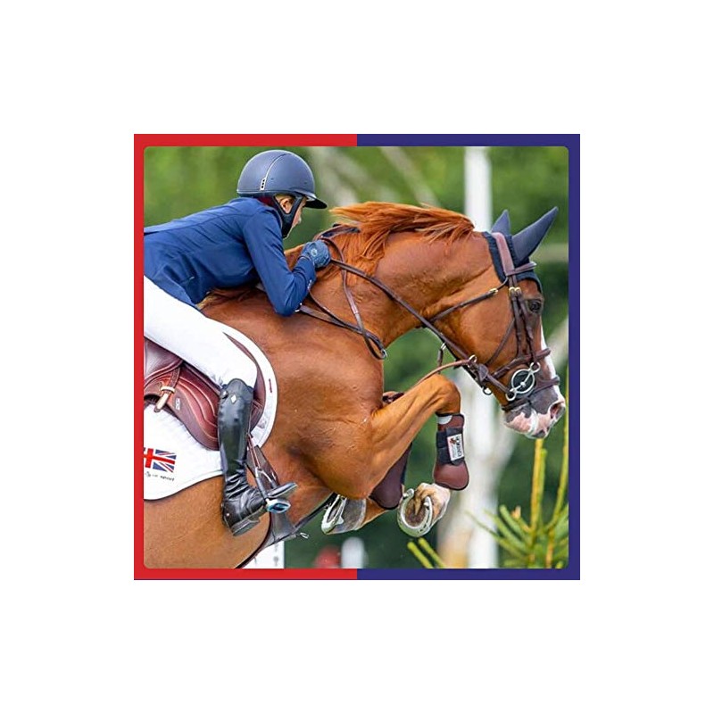 Equine America Horse Energy Performance Electrolytes Liquid Solution 1L