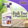 Bonide 2071 917403 Rts Fruit Tree and Plant Guard, 32