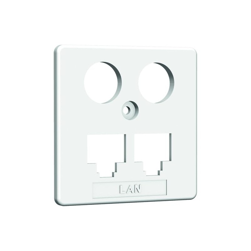 Central Panel TV + LAN 50 x 50 mm RW