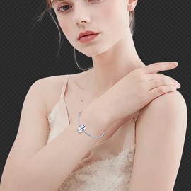 HappyStar 925 Sterling Silver Stopper Beads with 5A Cubic Zirconia Clip Charms for Bracelets Space Bead Christmas's Day Gifts for Women(With One Space Bead)