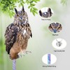 Vicsiyi Owls to Keep Birds Away, 4Pcs Fake Owls with