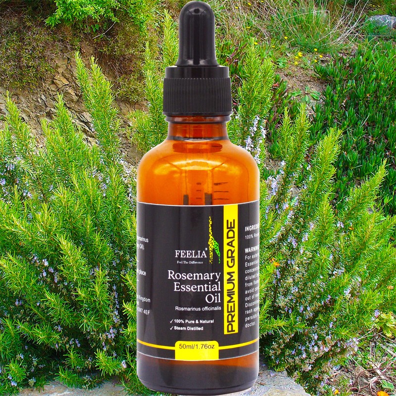 Feelia - Rosemary Essential Oil - 100% Pure & Natural,