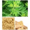 Moxa Roll Sticks 10 Pieces Pure Natural Handmade Moxa Rolls