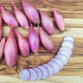 Snow Hill Organic Himalayan Shallots – 2 lb Bag – Grown in High Altitude Nepal – Product of Mt. Everest Region – Fresh, Flavorful, and Naturally Pure