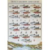 Trout Salmon and Char Vintage Hobby Poster 27 x 39