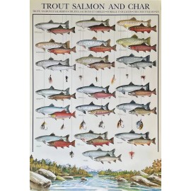 Trout Salmon and Char Vintage Hobby Poster 27 x 39