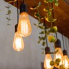 Zarnicy Plug in Pendant Light Cord Kit - 16Ft Light