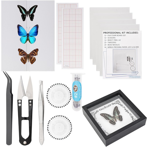 Insect Specimen Tools Kit - EVA Foam Pinning Board, Coordinate