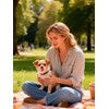 Fayelume 2PCS Dog Pacifier, 8 * 5cm/3.1 * 2in Puppy