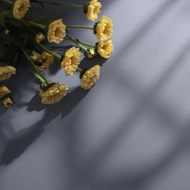 Nukofal Solid Grey Wallpaper Peel and Stick Grey Contact Paper 15.7"x118.1" Pure Matte Gray Contact Paper Textured Self-Adhesive Wallpaper Removable for Cabinet Countertops Decorative Wall Vinyl
