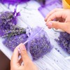 OLILLY 2022 HARVEST - Sachets of Lavender from Provence –