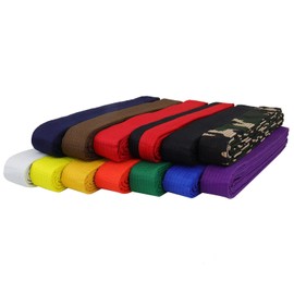 AAMA Plain Color Belt for Martial Arts - Taekwondo Karate Judo - Red Size 8