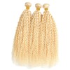 613 Kinky Curly Human Hair Bundles 18 20 22 Inch