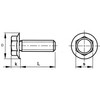 M6 (6mm x 10mm) Flanged Hex Set Screw (Fully Threaded