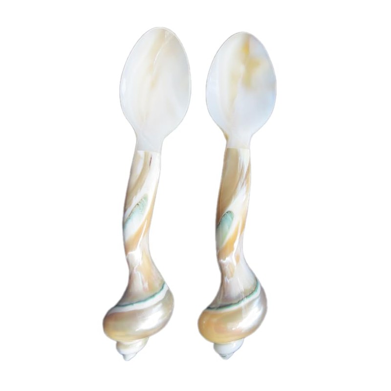 Set of 02 Spoons Shell Spoon Mother of Pearl Caviar
