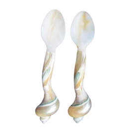 Set of 02 Spoons Shell Spoon Mother of Pearl Caviar Spoons W Round Handle for Caviar, Egg, Ice Cream, Coffee, Restaurant Serving (2 Pieces,7 Inches)