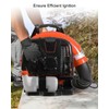 HUQUZN Ignition Coil with Spark Plug Fit for Echo Backpack