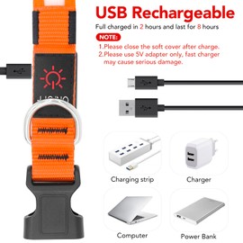 Vizpet LED Dog Collar, Light Up Dog Collar Adjustable USB Rechargeable Super Bright Safety Light Glowing Collars for Small Dogs(Small,Orange)