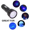 HQRP 390 nM 51 LED Flashlight Blacklight for Hotel Room
