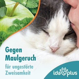 Ida Plus Dental Care Mini Sticks - Cat Dental Care Chew Sticks for Cats - Helps Clean Cats Teeth - Stops Cats Bad Breath - Anti Plaque - Delicious Cat Chew Sticks - Pack of 80