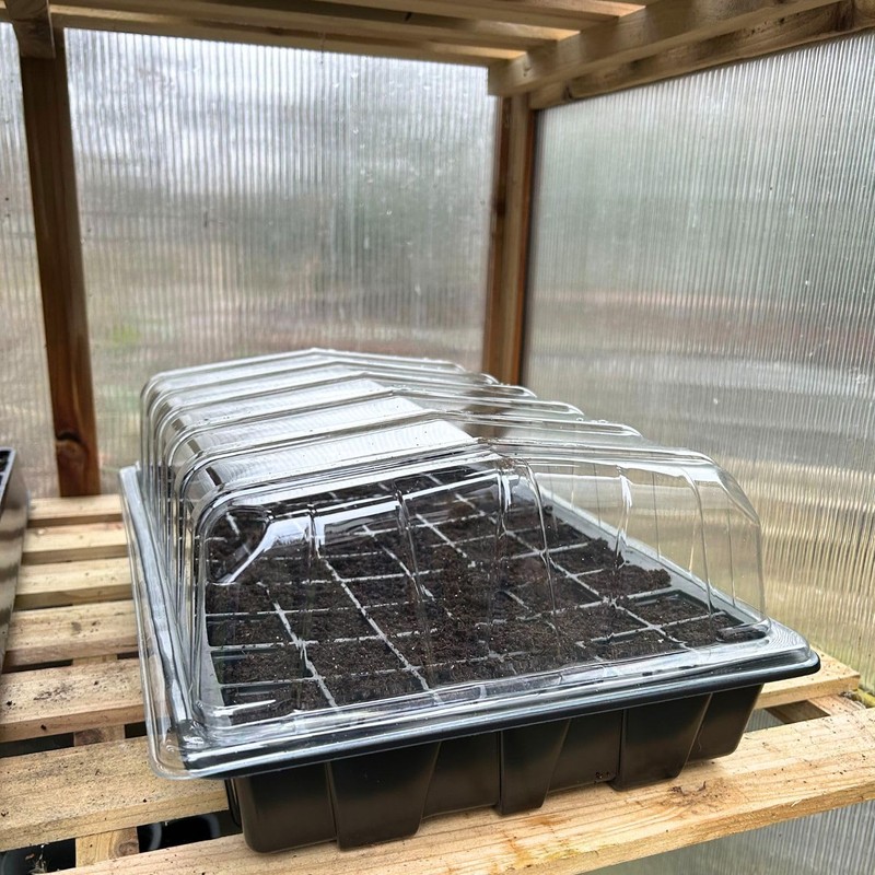 Bramley & Sage 50-Cell Cavity Tray Inserts Black (Set of