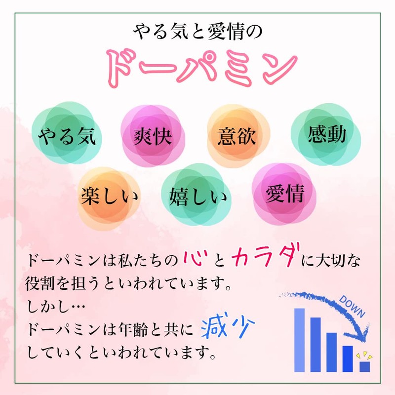 【リプサ公式】 ムクナ粒 約3か月分×2袋 T-706-2 サプリメント