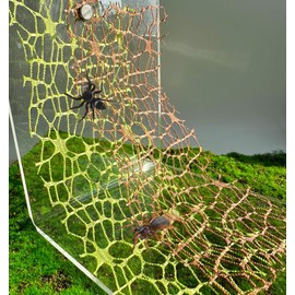 Heyshapeing 6 PCS Jumping Spider Habitat Accessories （3 Green & 3 Bronw - Jumping Spider Webbed Moss Ribbon with Magnets for Enhanced Enclosure and Climbing Experience