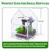 Acrylic Jumping Spider Enclosure with Magnetic Front Door - 360°