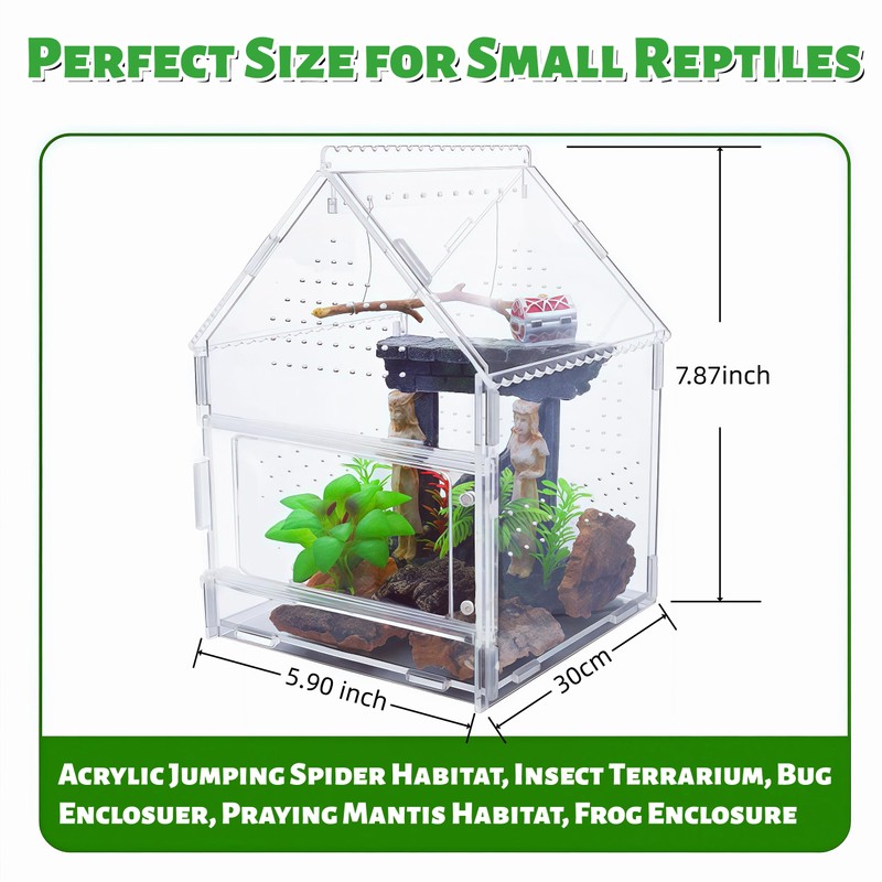 Acrylic Jumping Spider Enclosure with Magnetic Front Door - 360°