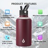 BJPKPK Half Gallon Insulated Water Bottles with Straw Lid, 64oz