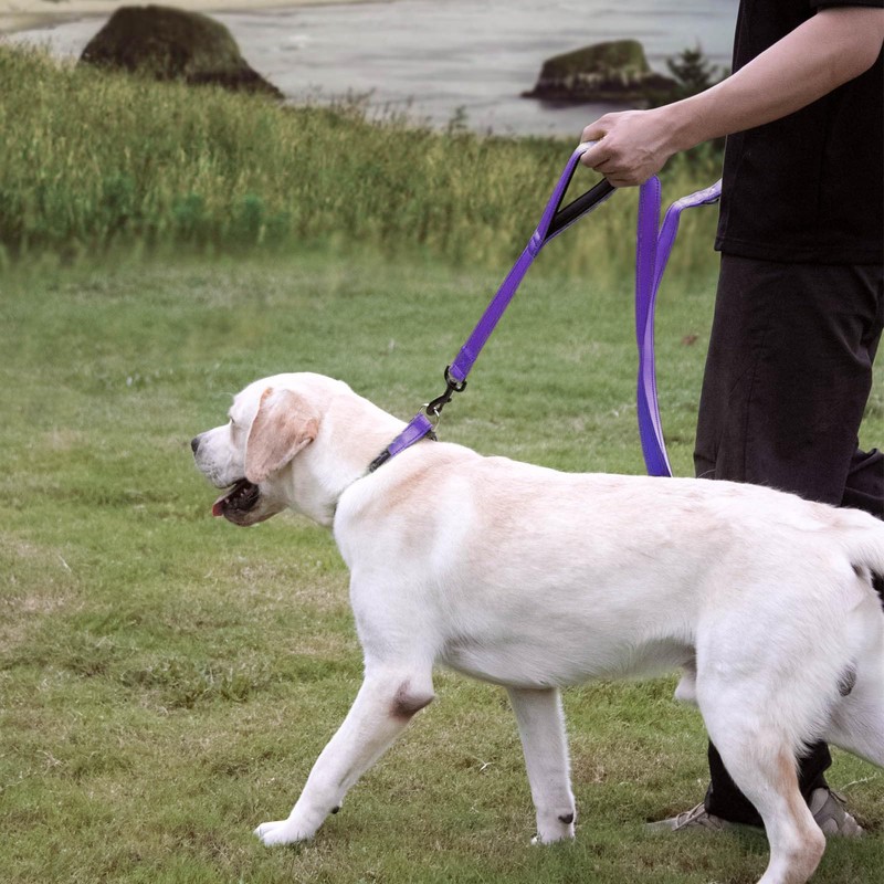 Wagtime Club Soft &Thick Dual Handle 6FT Dog Leash, Premium