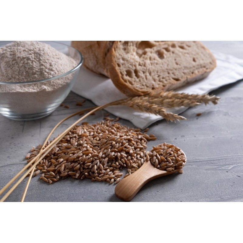 Bakerdale Dehydrated Natural Spelt Sourdough Starter Culture