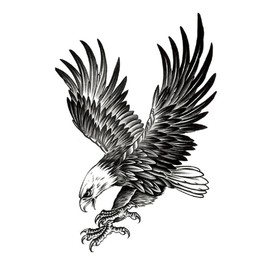 1/3/5x Waterproof Temporary Fake Tattoo Sticker Body Art Black Bird Eagle Wings 1x