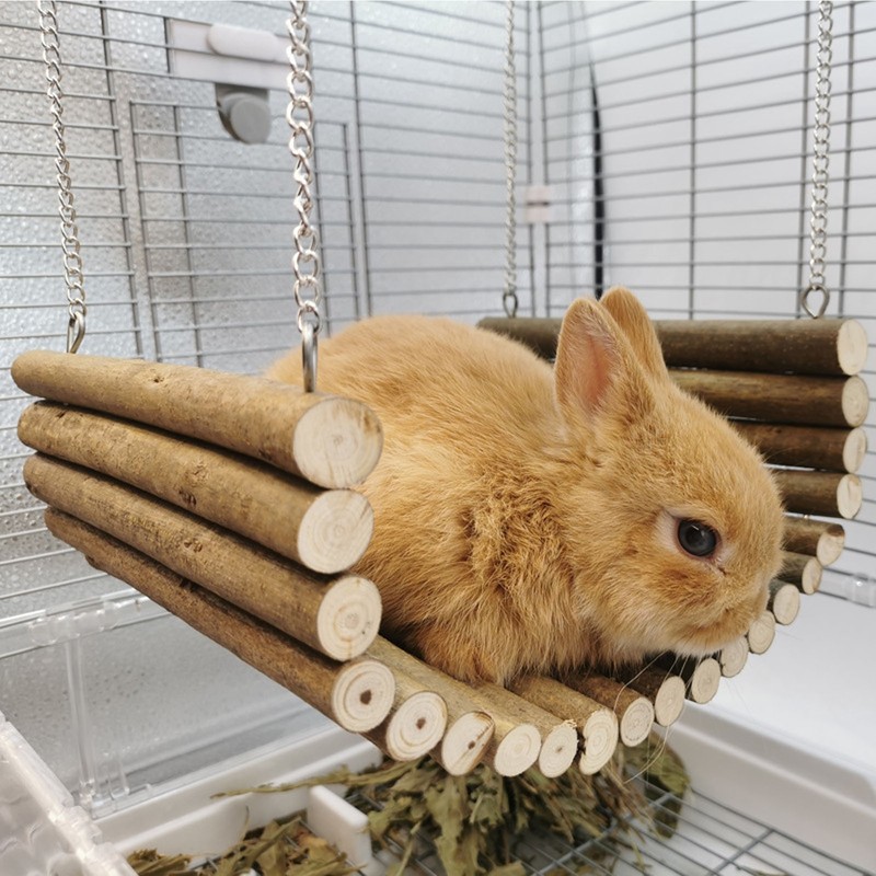 Hamster Wooden Swing Natural Large Space Climbing Playing Hamster Swing